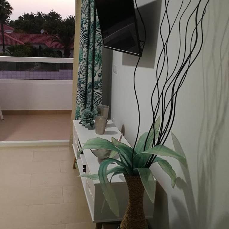 Aloe Heaven - Apartamento con balcón - 5