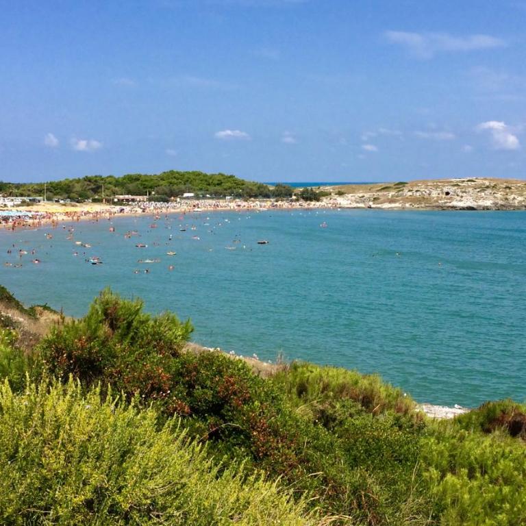 BILOCALE IMMERSO NELLA NATURA - Casa con 1 Camera da Letto - 4