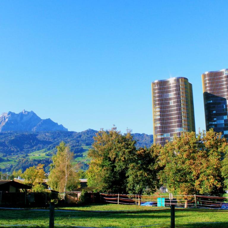 HITrental Allmend Comfort Apartments - Apartment H mit 1 Schlafzimmer und Balkon - 7