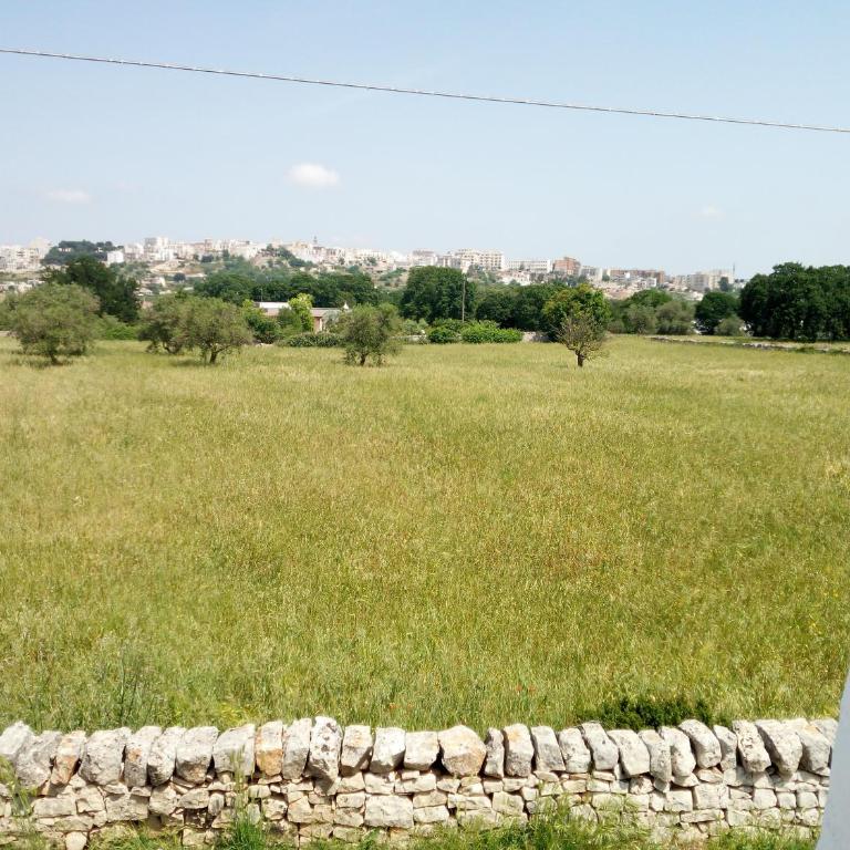 Trullo in piena valle d'itria del 1800 - Casa con 3 Camere da Letto - 28