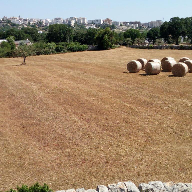 Trullo in piena valle d'itria del 1800 - Casa con 3 Camere da Letto - 29