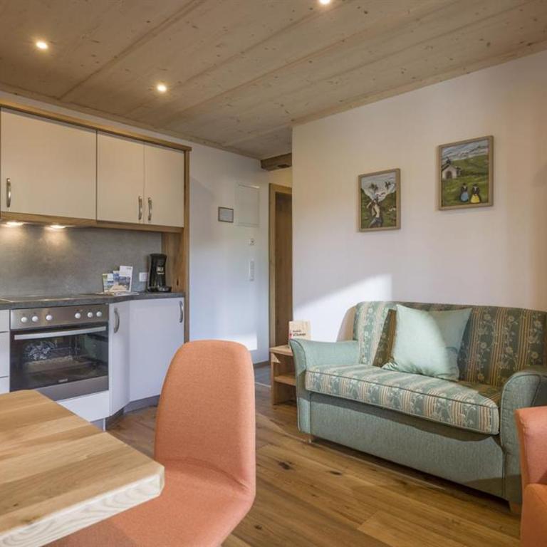 Appartement Hinterholzer - Apartment mit 1 Schlafzimmer - 4