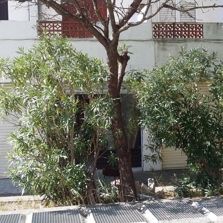 15 C/MUGA-A EMPURIABRAVA - Casa Vacanze - 2