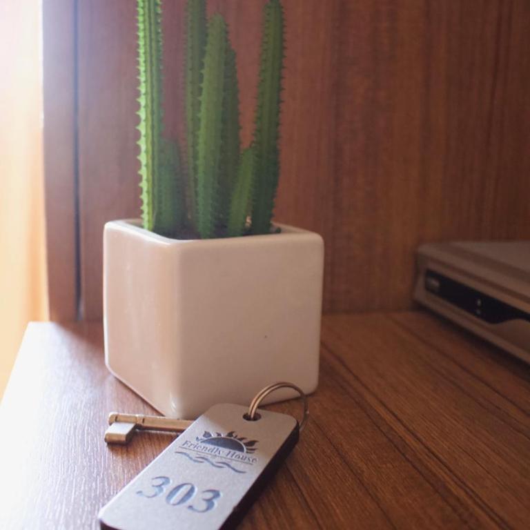 Friendly House - Deluks Apartman - 13