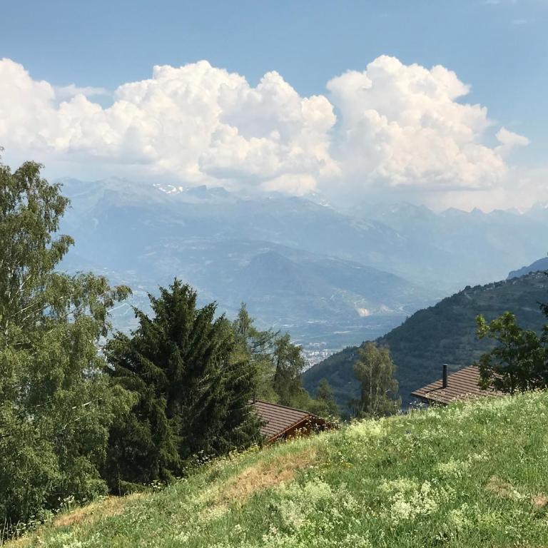 Chalet Pattier - Chalet - 18