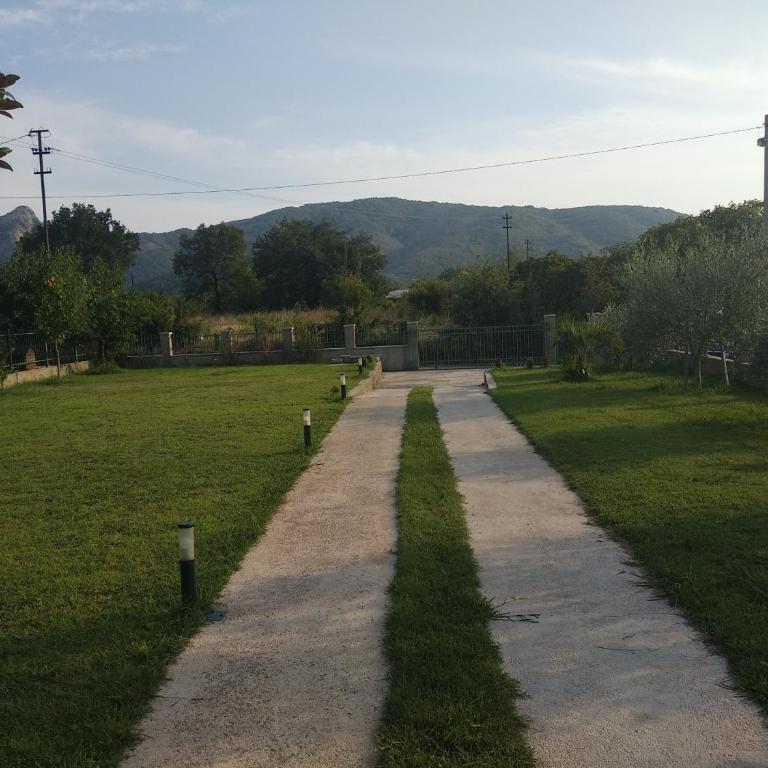 Guest House Radulovic - Vacation Home - 10
