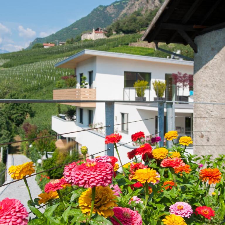 Weinreichhof - Appartamento con Terrazza - 5