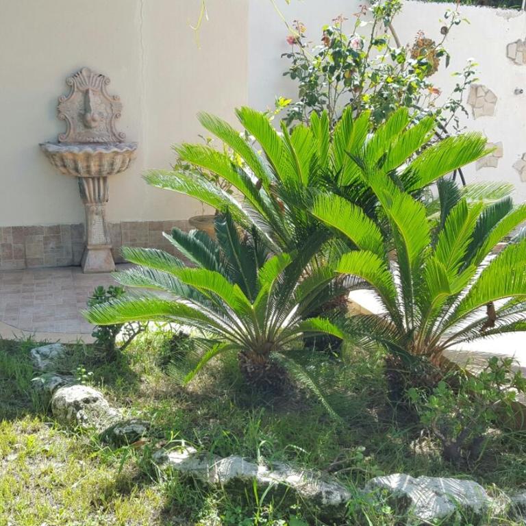 Appartamenti Borgo Panoramico n.1 - Apartment - 54