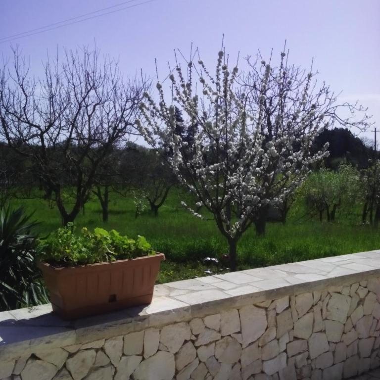 Trulli in Valle D'Itria - Casa Vacanze - 25