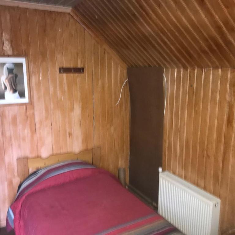 Backpacker 644 - Single Bed in Dormitory Room - 3