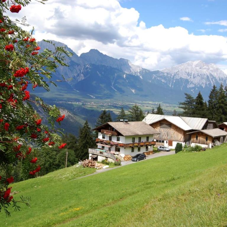 Silzerhof - Apartment - 2