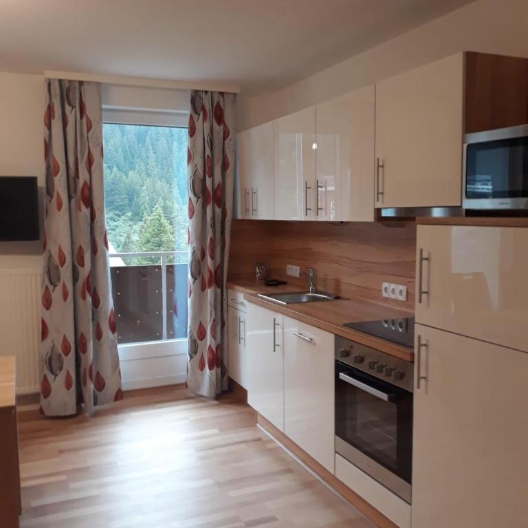 Ferienwohnung Ski-Hans - Apartment mit 1 Schlafzimmer (3 bis 4 Erwachsene) - 2