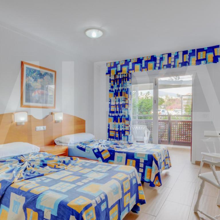 Apartamentos Pez Azul - Estudio Económico (2 adultos) - 12