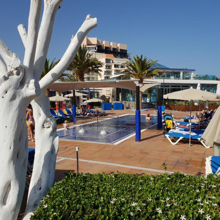 Apartamentos Playa Feliz - Apartamento con 2 dormitorios y vistas frontales al mar - 36