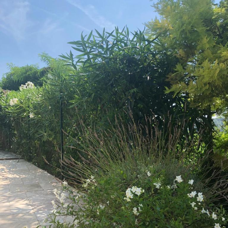 Villa Mimosa - Villa - Vue sur Mer - 38