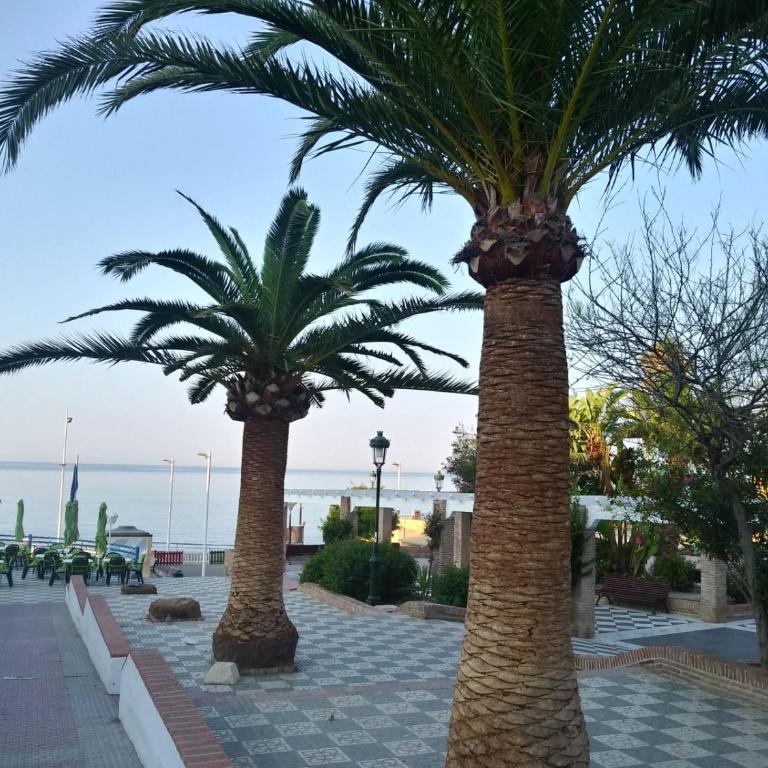Nerja Solymar - Apartamento - 13