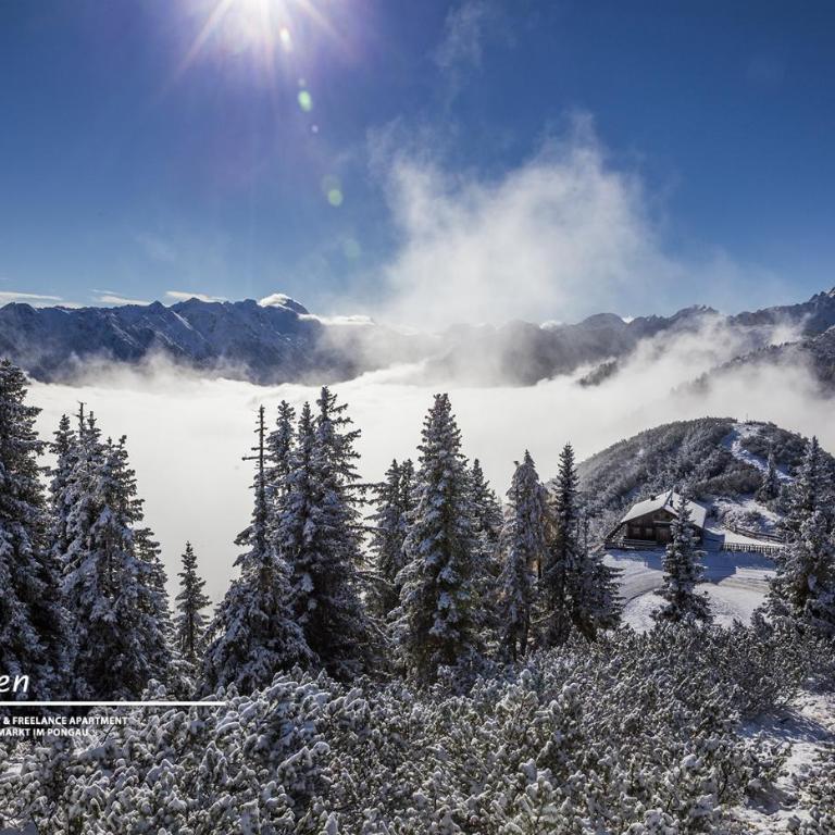 Powderia Family & Freelance Apartment in the centre of Ski Amadé - Appartement - 46