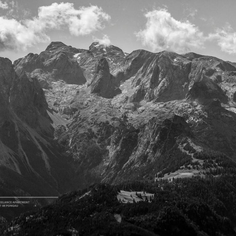 Powderia Family & Freelance Apartment in the centre of Ski Amadé - Appartement - 47