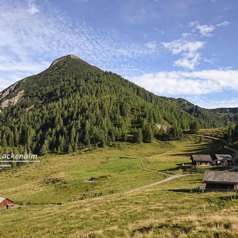 Powderia Family & Freelance Apartment in the centre of Ski Amadé - Appartement - 54