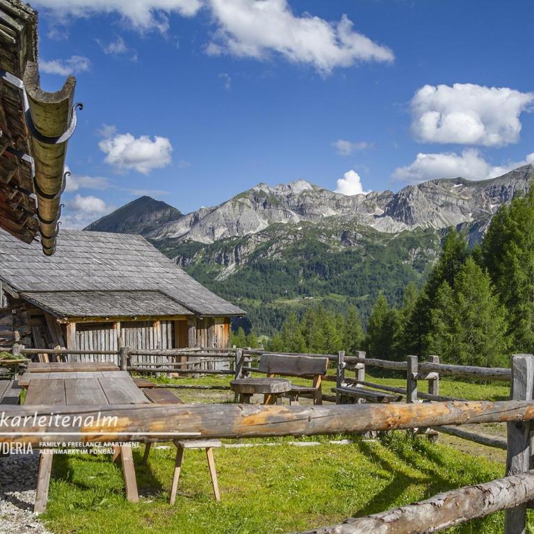 Powderia Family & Freelance Apartment in the centre of Ski Amadé - Appartement - 68
