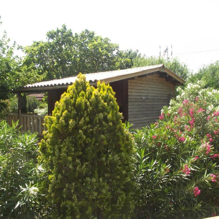 Chalets 1 MESANGE BLEUE Roquebrune Sur Argens - Chalet - 1