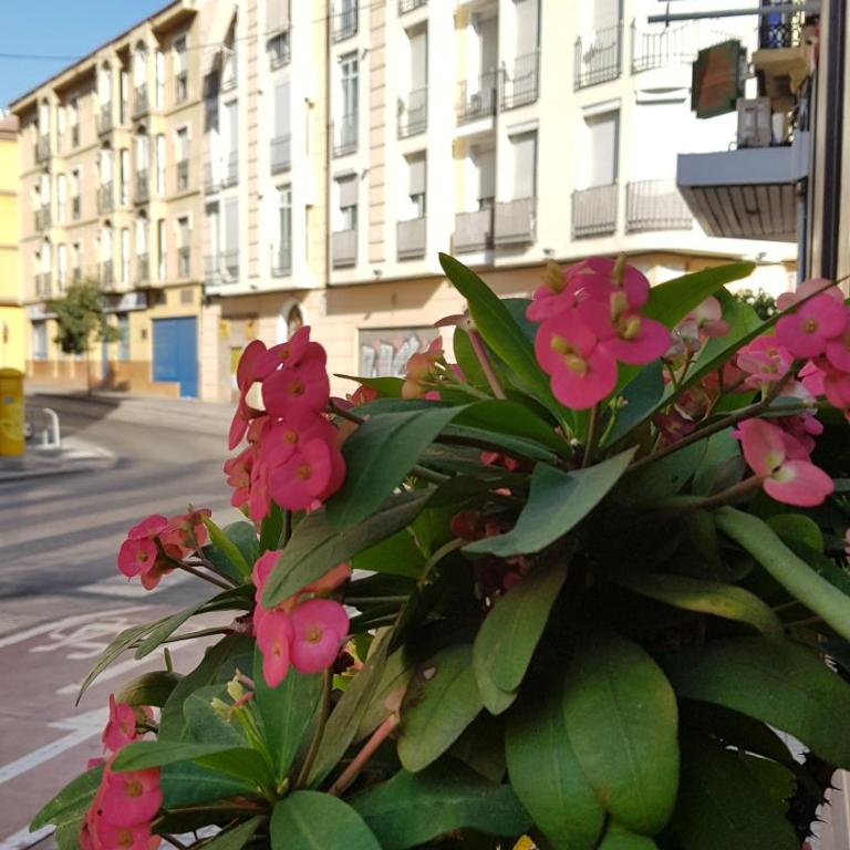 ELENA Flat Malaga Center - Apartamento - 54