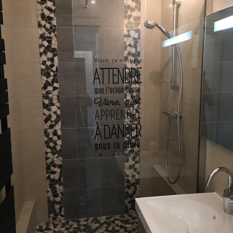 BedinReims elegant green bottle quiet and close to center free parking and wifi free ideal 5 à 9 Adultes - Appartamento Deluxe - 49
