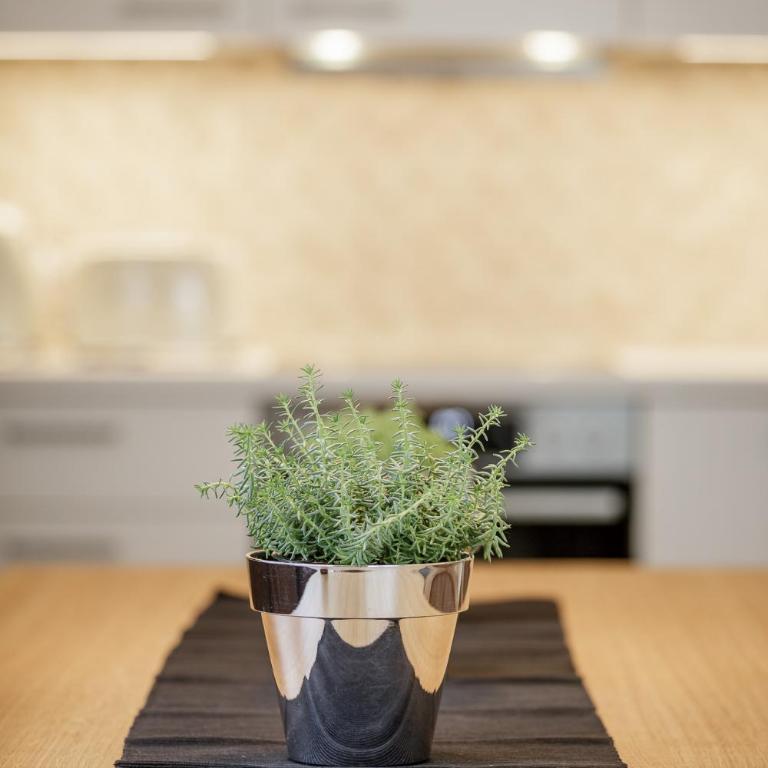 Apart am Sonnenhügel - Apartment mit 3 Schlafzimmern - 2