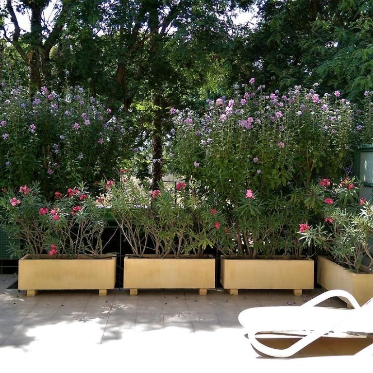 Golden Beach II - Apartamento - 26