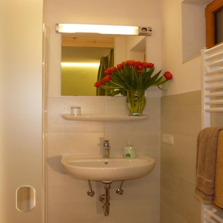 B & B Apartments Ortlerblick - Camera Singola Budget - 4