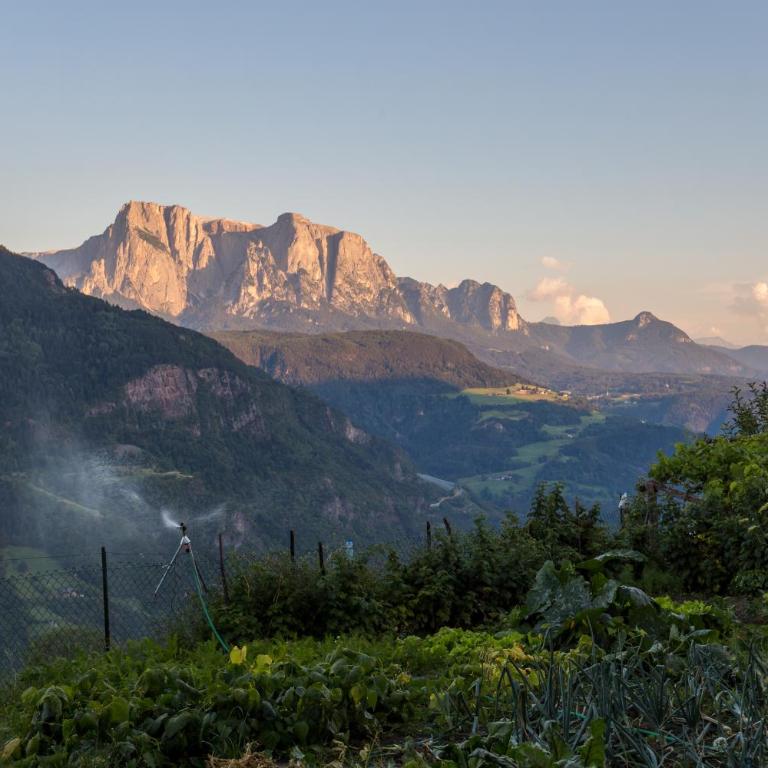 Frühaufhof - Appartamento con 2 Camere da Letto - 18