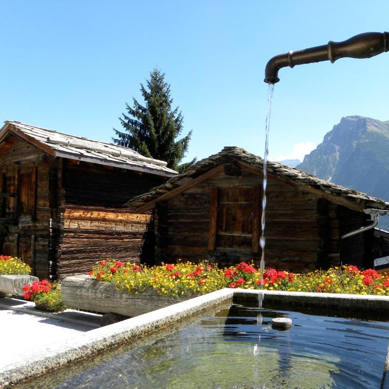 Vieux Valais VB - Apartment - Erdgeschoss - 43