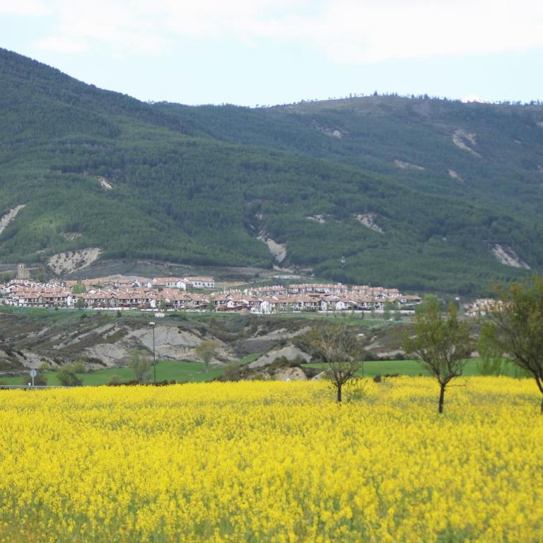 Dúplex en Badaguás, Jaca - Maisonette - 31