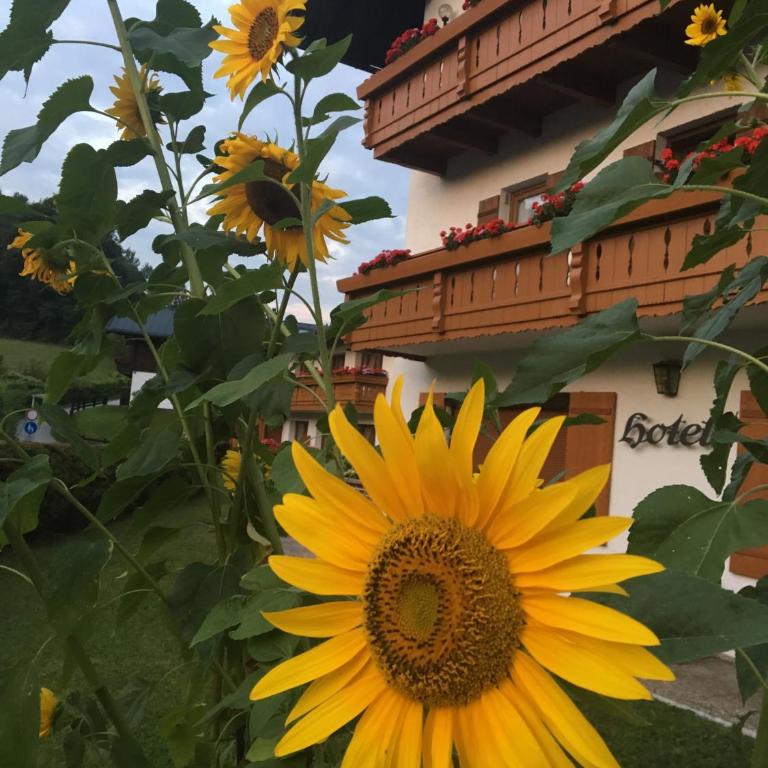 Alpenhotel Weiherbach - Hallenbad und Sauna - Doppelzimmer mit Balkon - 2