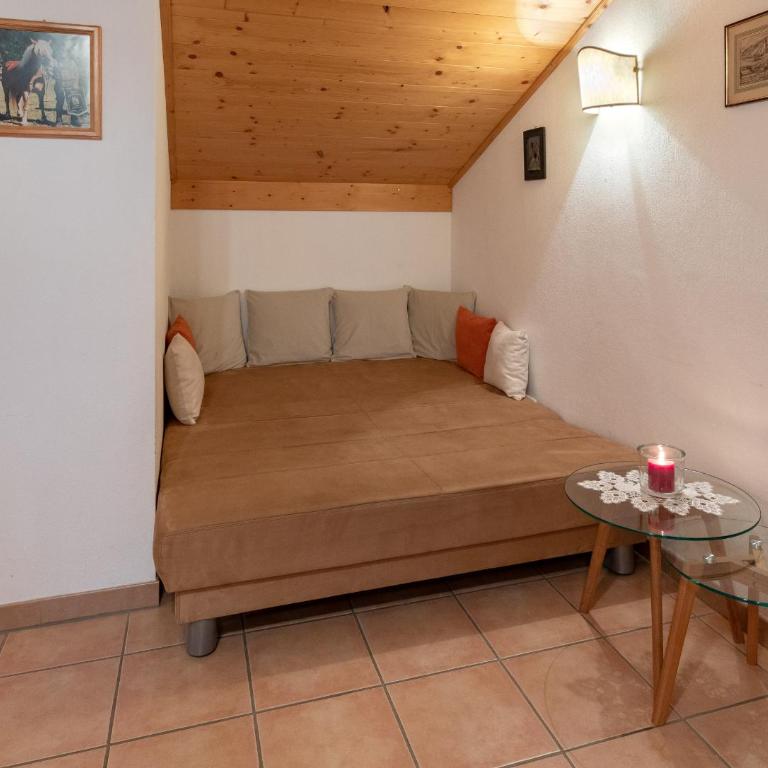 Unterschwabegghof - Apartment mit Blick auf die Berge - 10