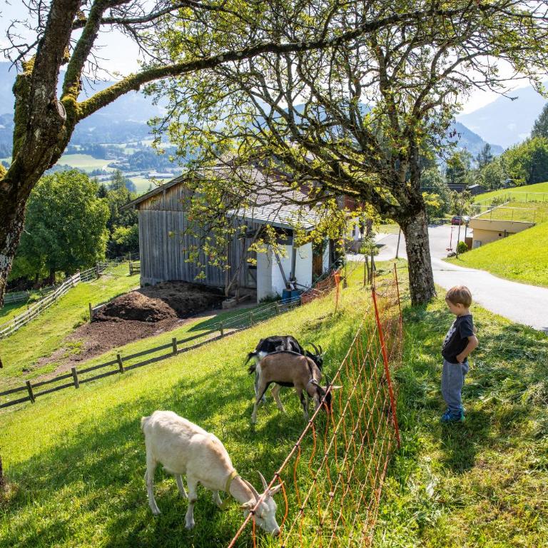 Unterschwabegghof - Apartment mit Blick auf die Berge - 23