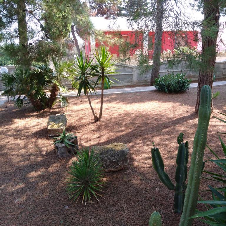 Stelle Sul Salento Holiday Home - Appartamento con Vista Giardino - 4
