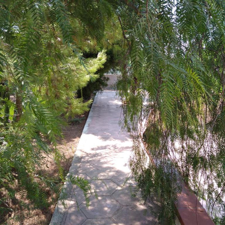 Stelle Sul Salento Holiday Home - Appartamento con Vista Giardino - 1