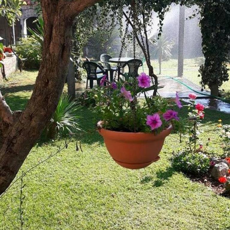 Mediterranean Holiday House & Apartments - Two-Bedroom Apartment - 20