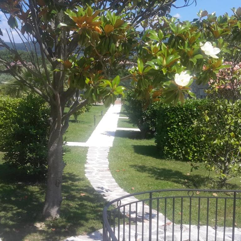 Aux charmes de grasse - Chambre Double - Vue sur Jardin - 1