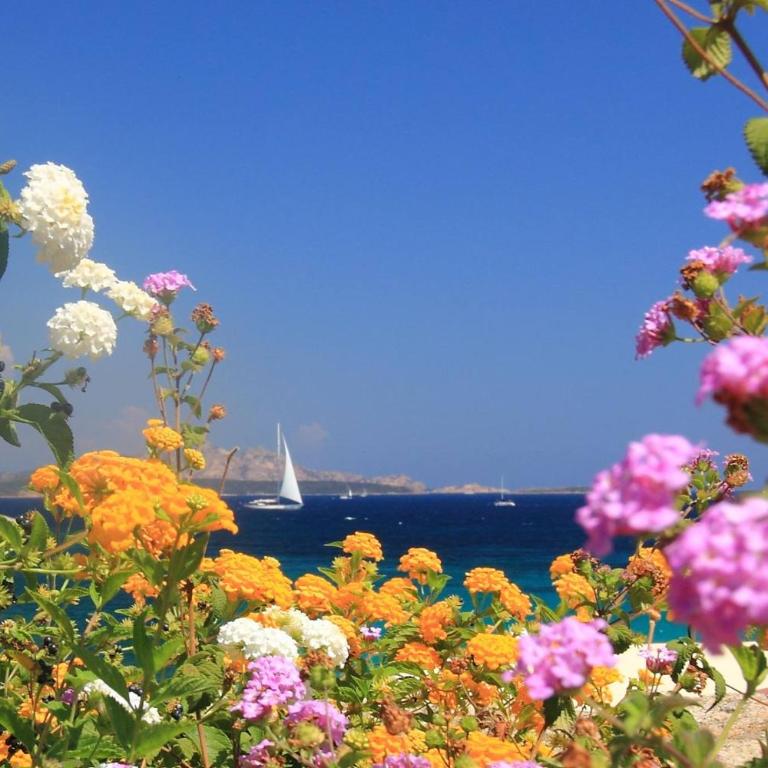 Casa Limoni - Rifugio Siciliano tra Mare, Etna e Taormina - Appartamento Standard - 25