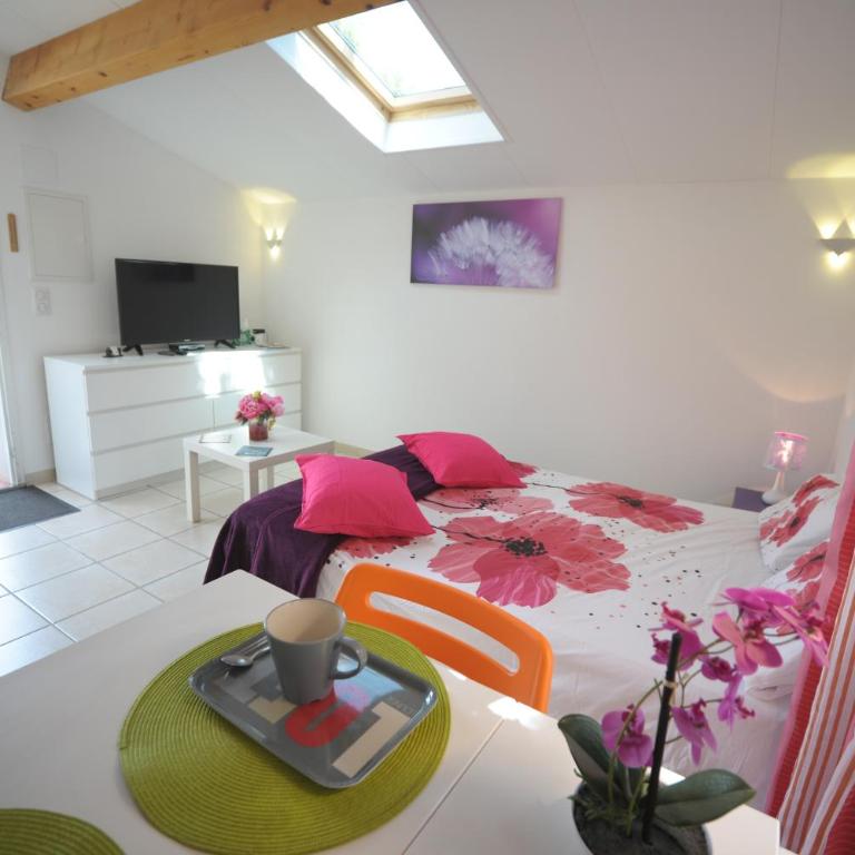 DORMIR A MONTAUBAN Logements Carreyrat Calme et Verdoyant - Studio avec Vue sur Jardin - 10
