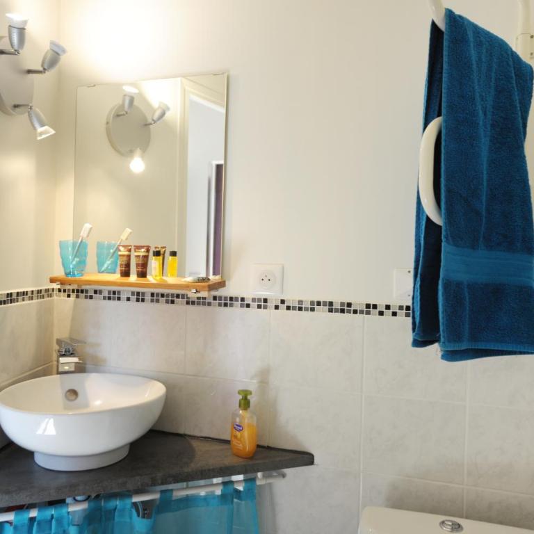 DORMIR A MONTAUBAN Logements Carreyrat Calme et Verdoyant - Appartement - Vue sur Jardin - 13
