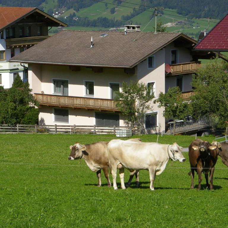 Landhaus Kröll - Ferienhaus mit Dusche - 23