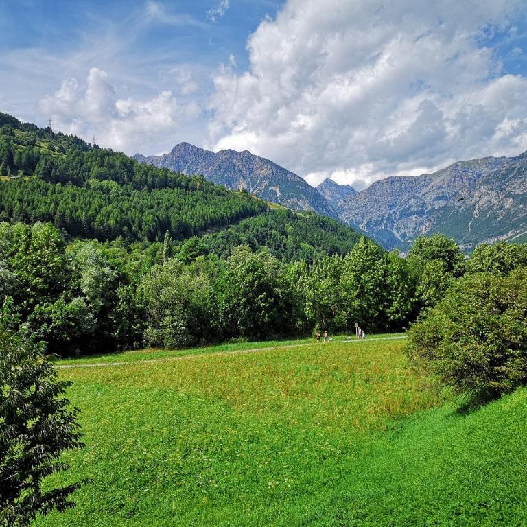 Alpi & Golf Hotel - Junior Suite - 7