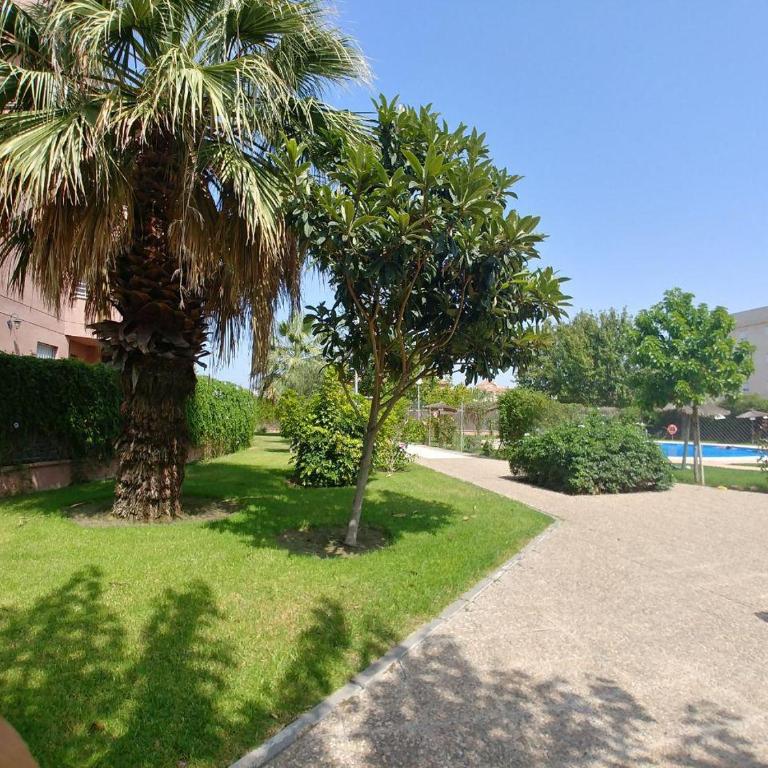 ÁTICO TERRAZA 65m. Playa, piscina, A/C, Wifi - Apartamento - 60