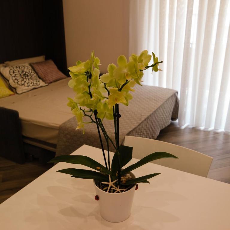 Casa Martina - Appartamento - 9