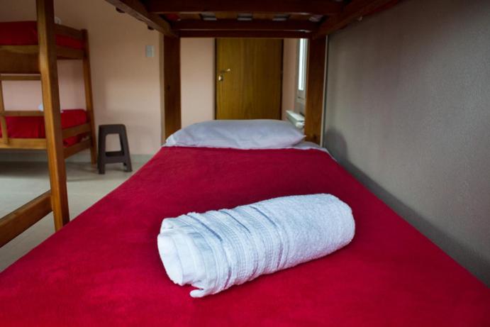 Edelweiss Hostel - Cama en habitación compartida con 4 camas - 2