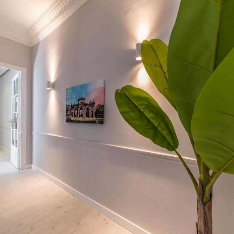 PENTHOUSE deluxe GRANVIA, by MONARO - Apartment - 22