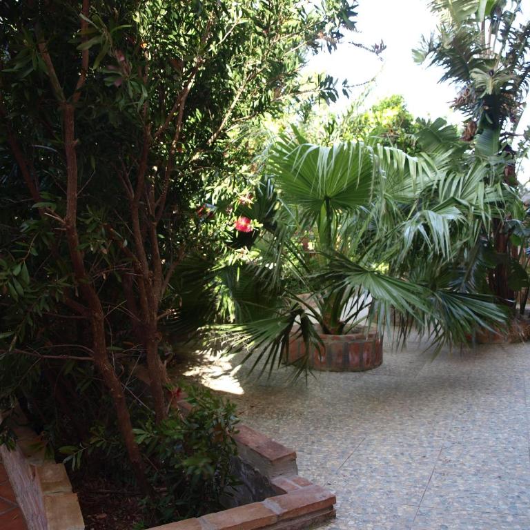 Hotel Copacabana Tarifa Beach - Habitación Doble con patio - 2